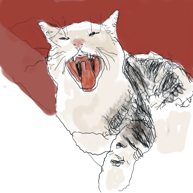 Yowling Jowls  Image: Screaming cat