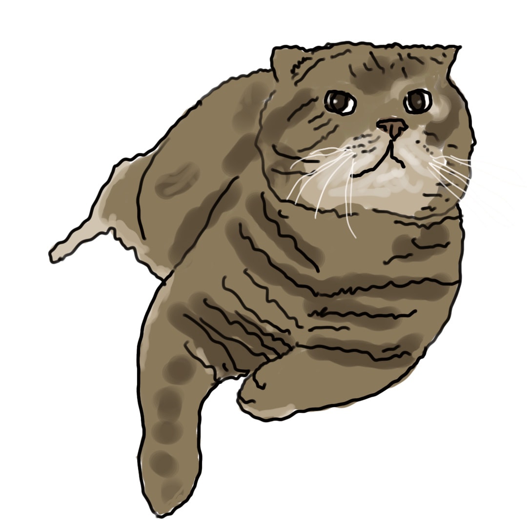 Brown Tabby Cat, Image 1.