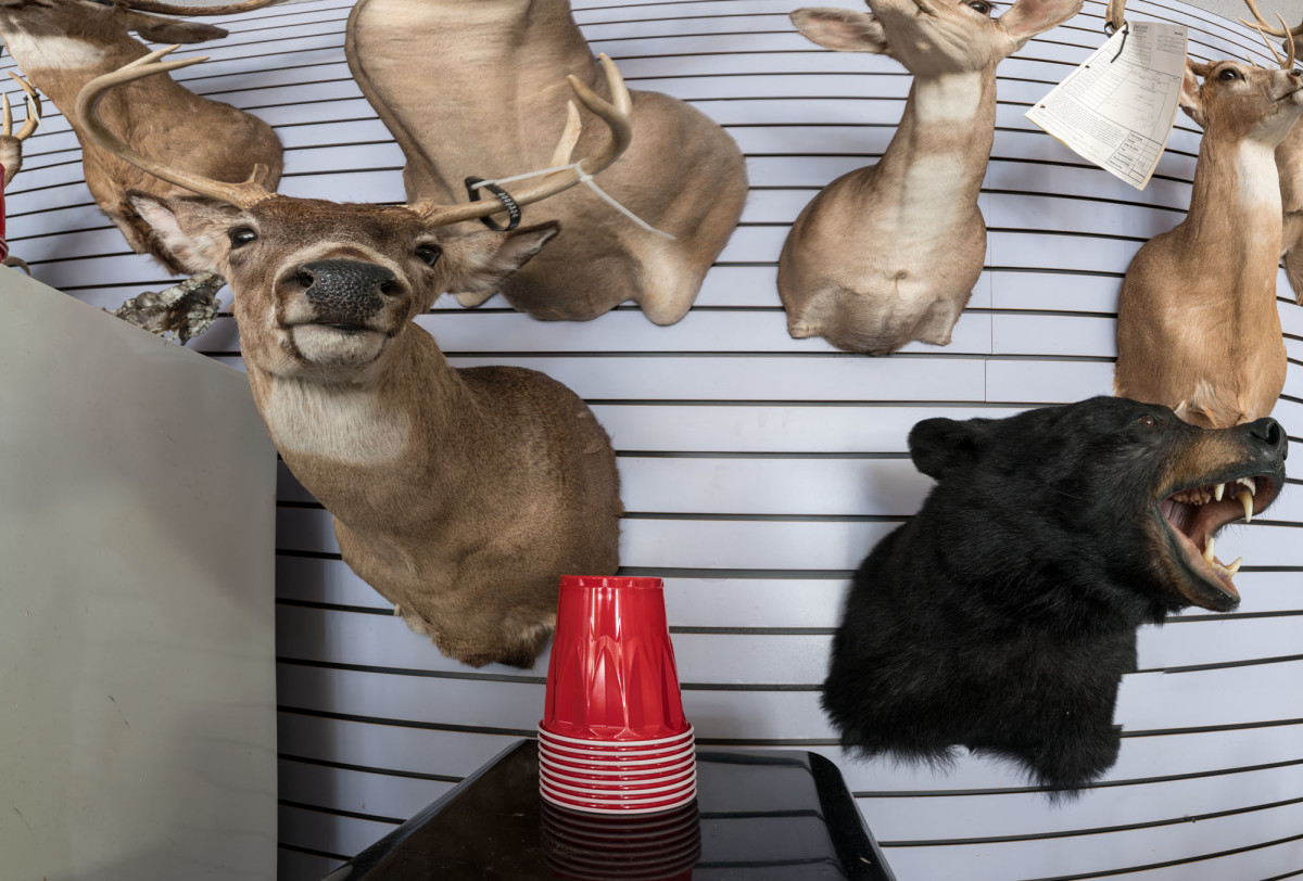 Buck, Bear & Red Cups by Alan Powell 