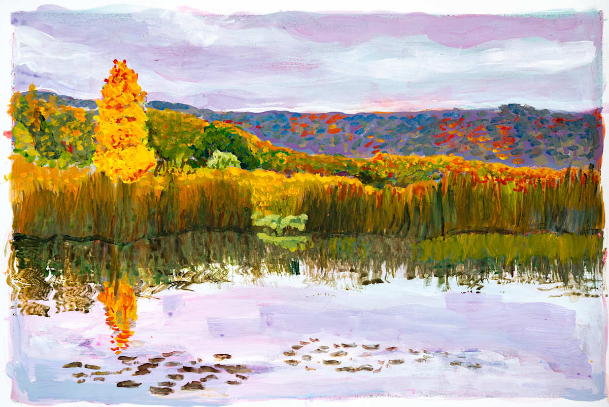 Snake Pond, Andes NY, Image 1.