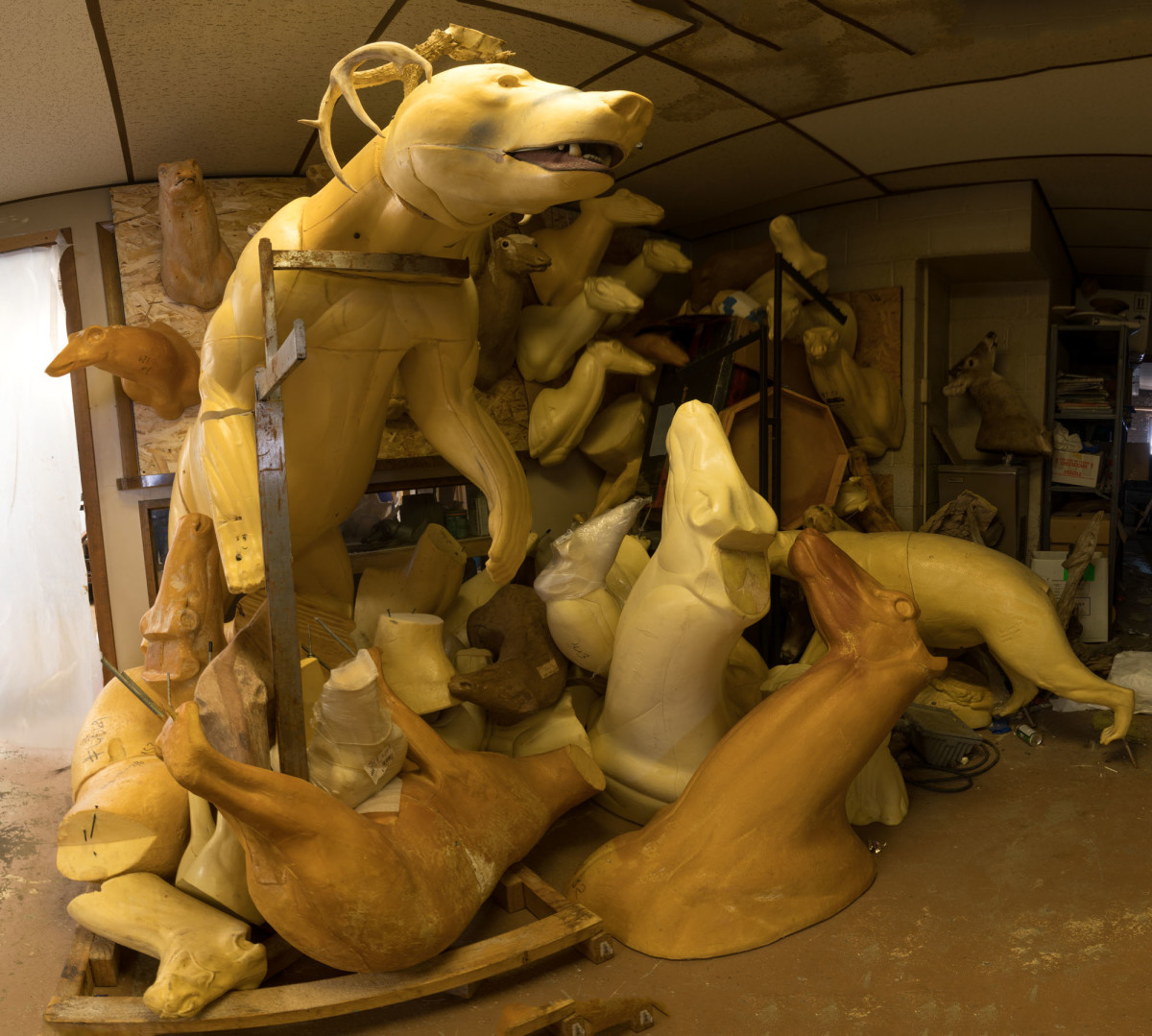 Taxidermy Forms Left Side by Alan Powell 