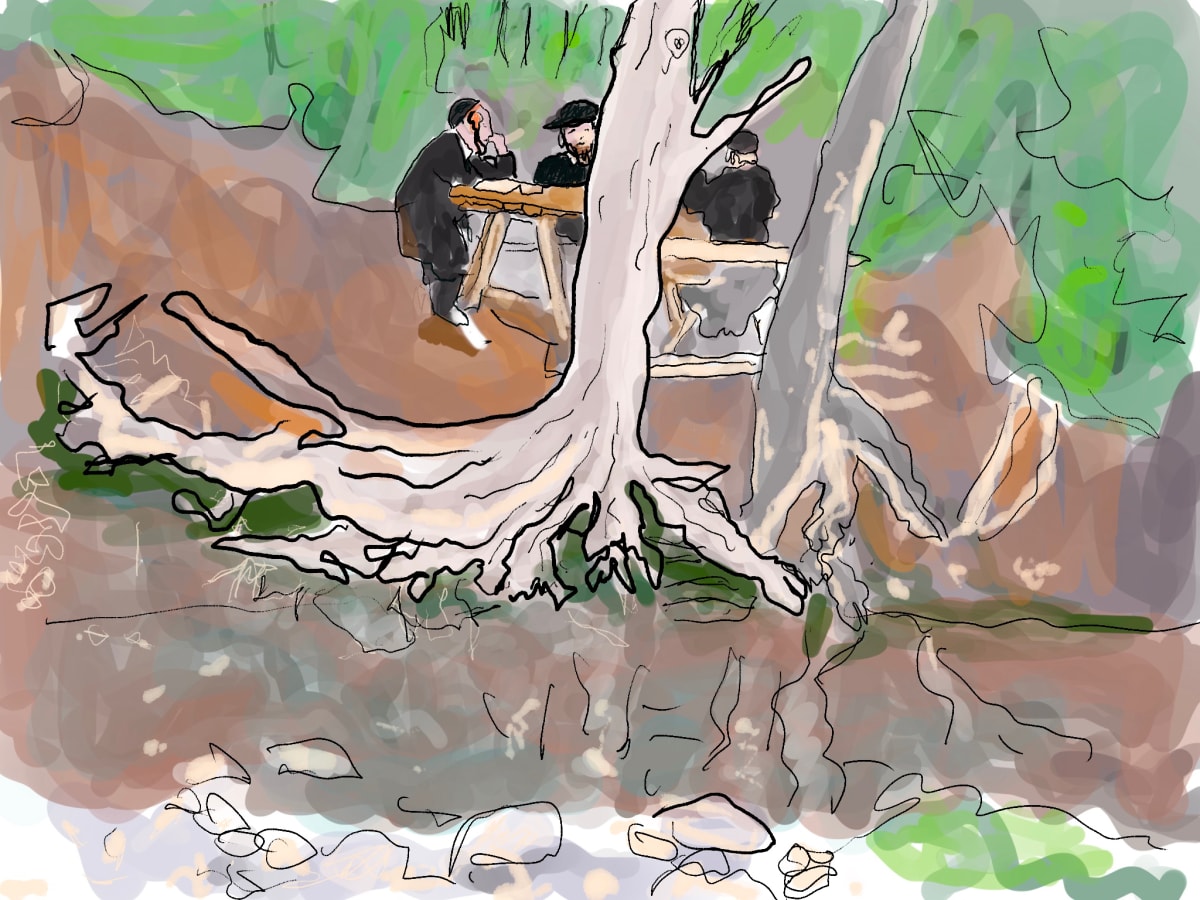 Hasidim Cradled by Trees  Image: Hasidim Cradled by Trees