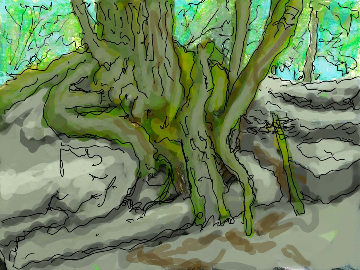 Green Legs & Dam, Image 1.