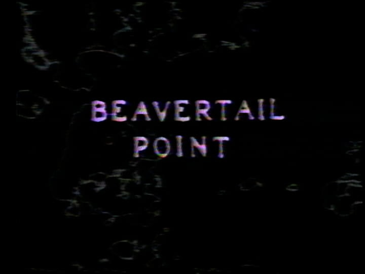 Beavertail Point by Alan Powell 