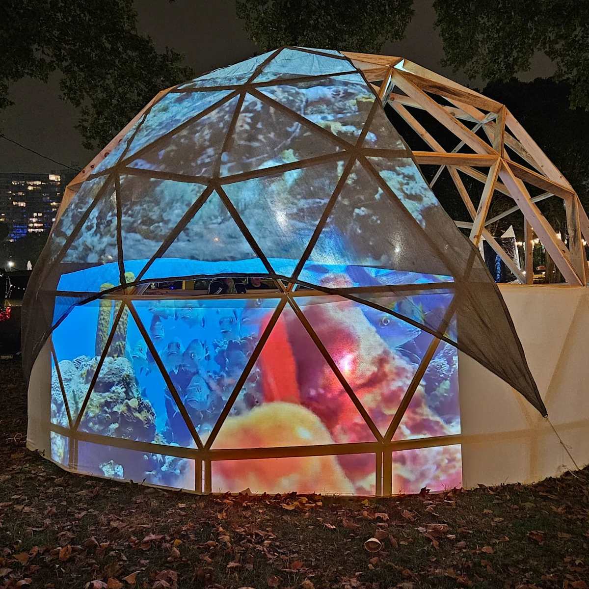 UnderStory by Alan Powell  Image: "understory": Alan Powell was the producer/  director on this project 3 channel video installation . present at the Ekins Oval , Philadelphia Museum of Art