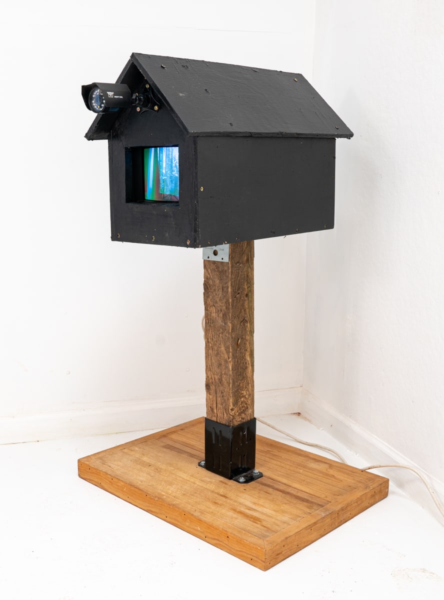 Video Birdhouse by Alan Powell  Image: Video Birdhouse