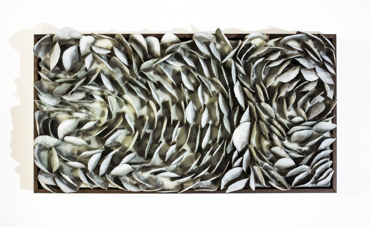 Echeveria by Katie C. Gutierrez 