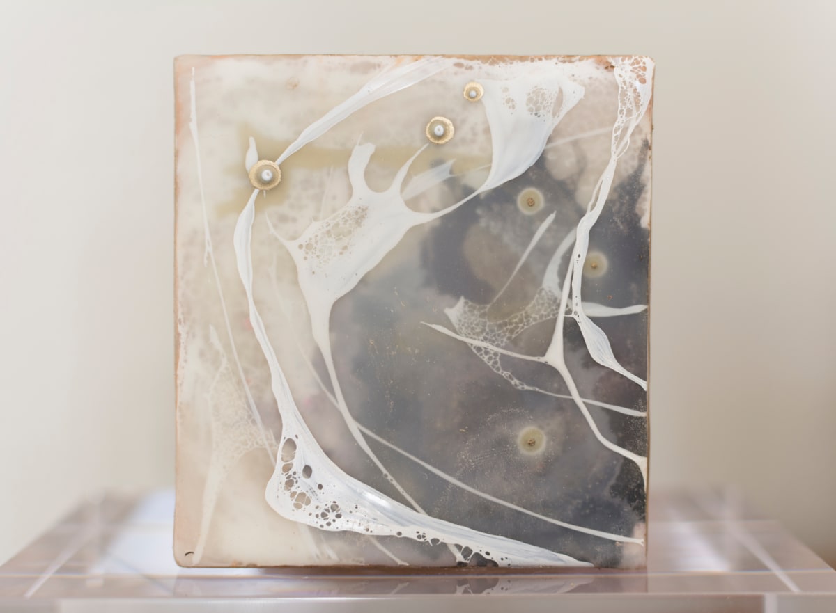 Lullaby No. 24 by Katie C. Gutierrez 