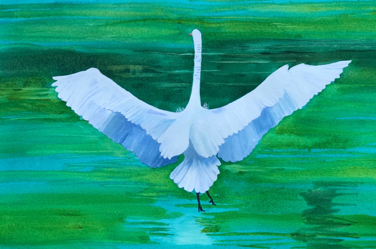 Great Egret by Cheryl Renee Long  Image: Ridgefield National Wildlife Refuge, stunning white egret about to take flight. Amazonite green water, this 13 x 19 watercolor painting will make a statement for anyone who loves shorebirds. 
