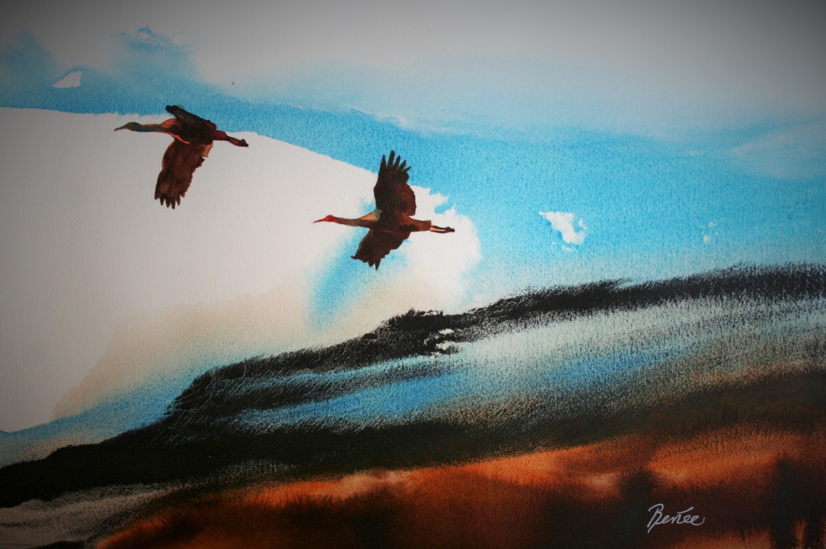 Sandhill Cranes, Wilcox, Arizona by Cheryl Renee Long 