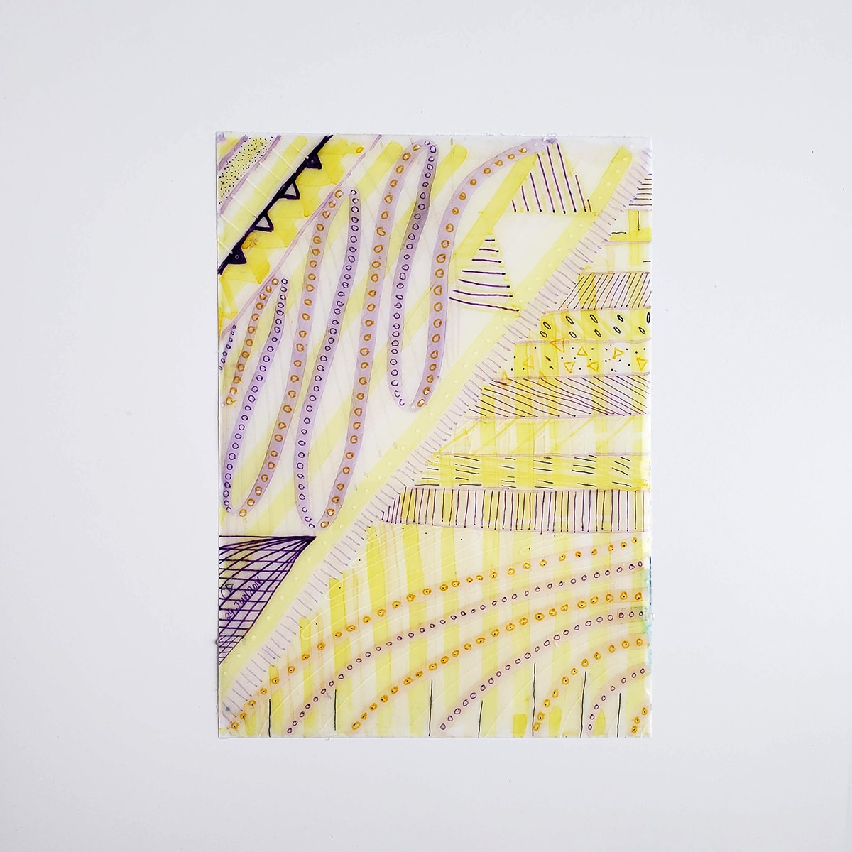 A Study of Line by Ava Bock 