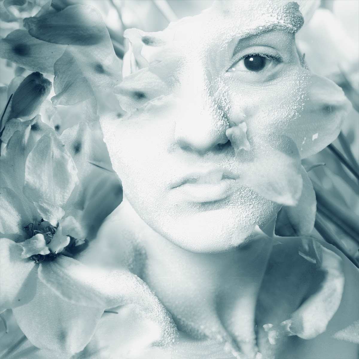 Becoming by Ava Bock, Image 1.