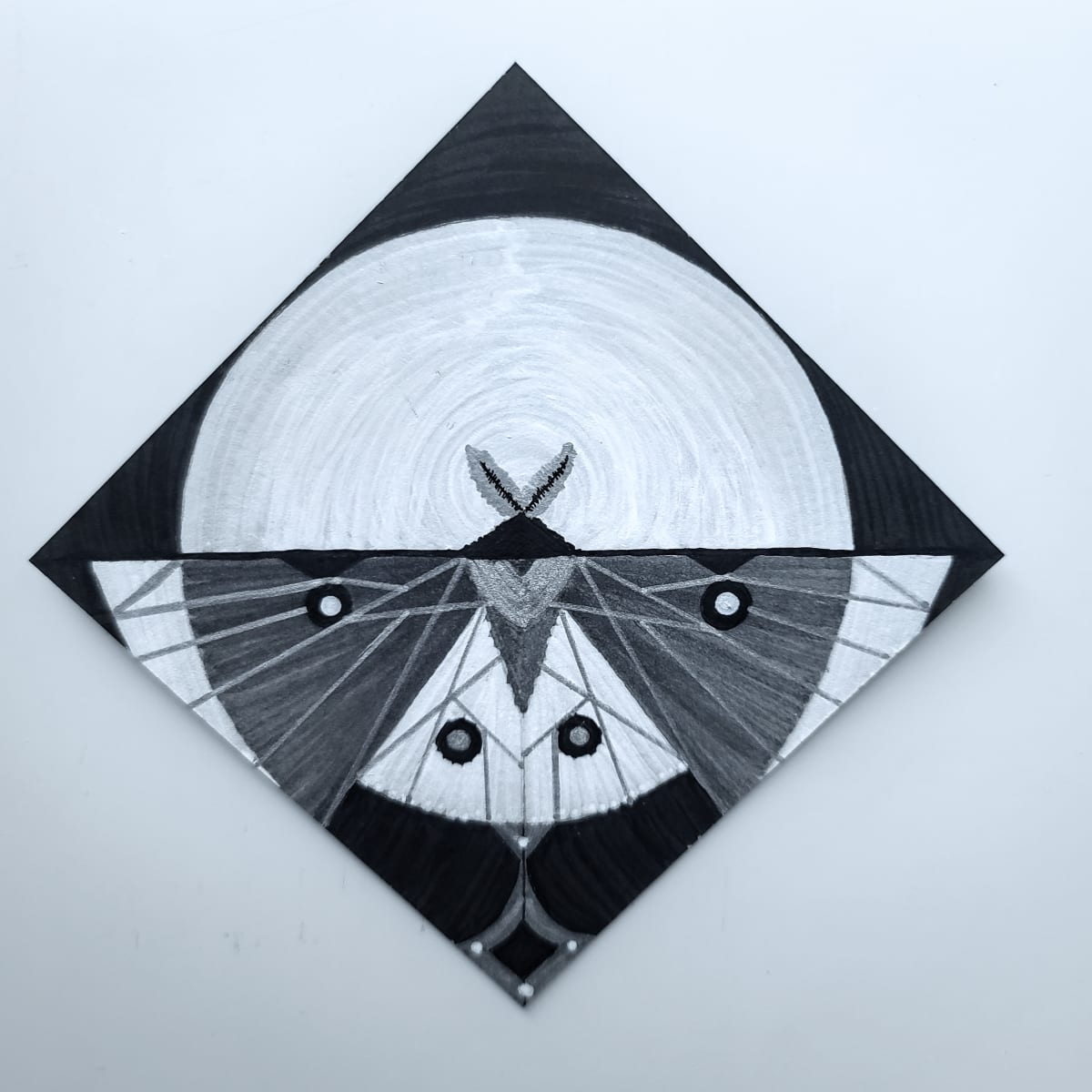 Nocturnal Animals - Luna by Ava Bock 