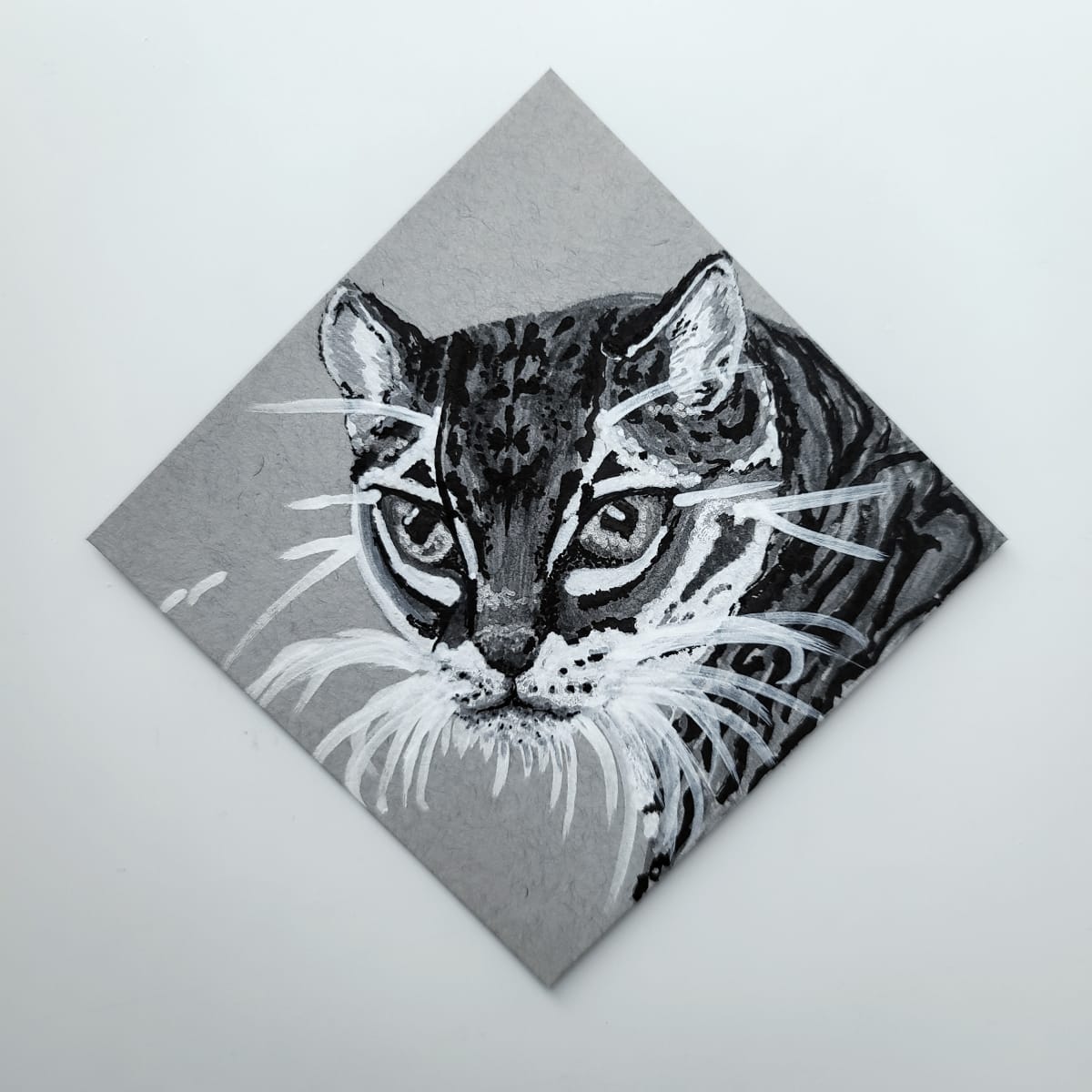 Nocturnal Animals - Oncilla by Ava Bock 