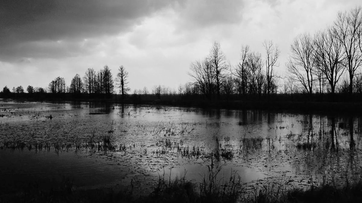 The Coming Storm by Ava Bock, Image 1.