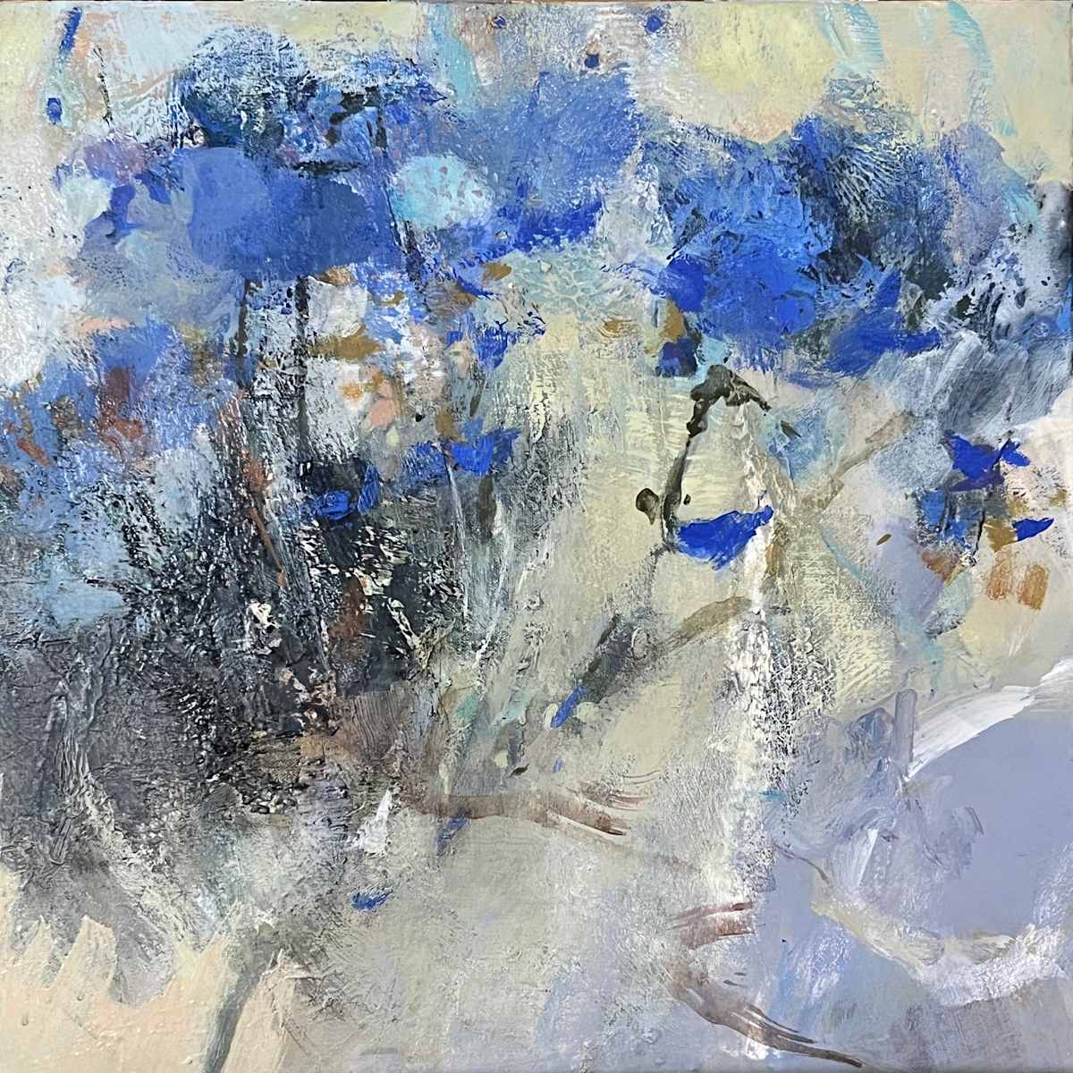Novalis Blume by Insa Hoffmann 