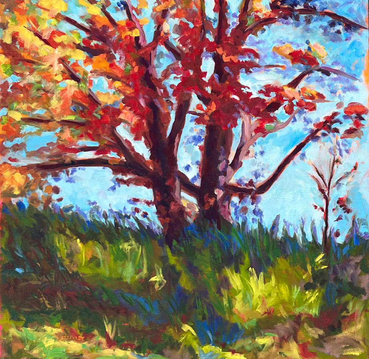 Old Faithful by Michelle Savas Thompson 