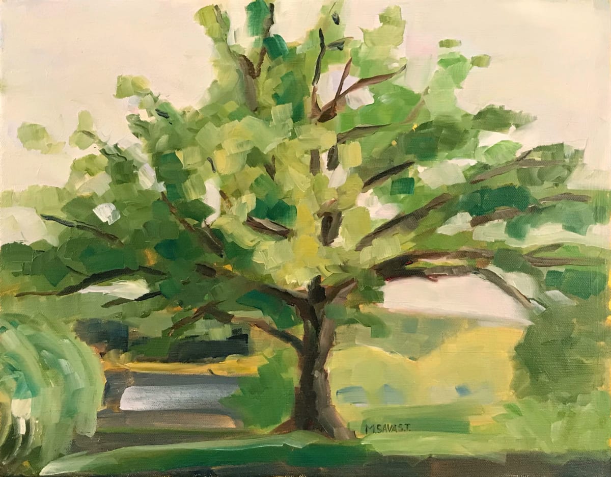 Ackermans Park by Michelle Savas Thompson, Image 1.