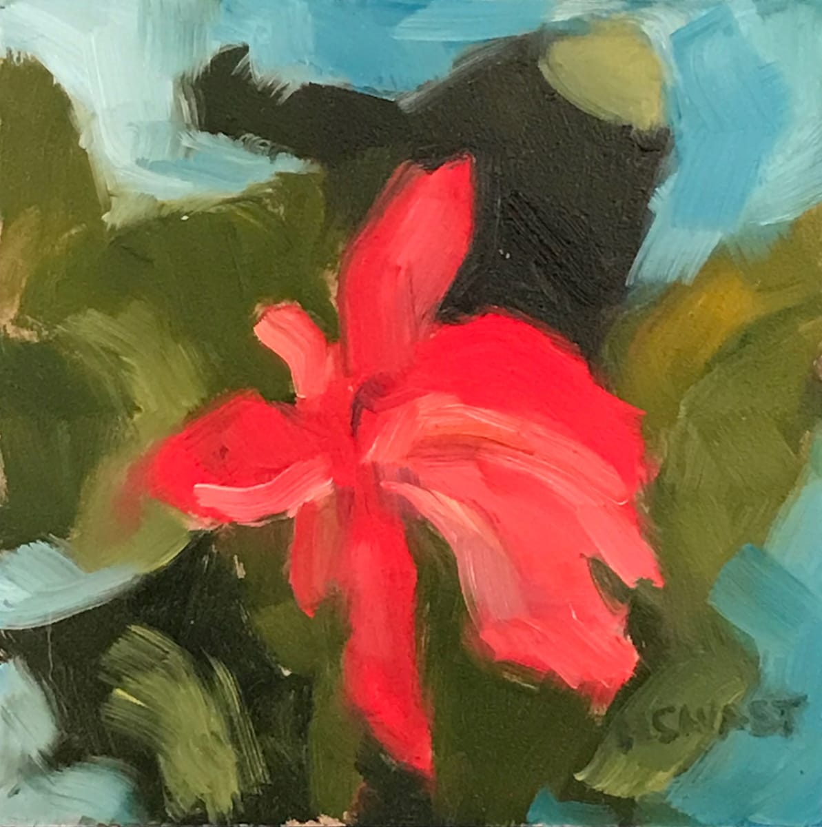 Blommin Christmas Cactus by Michelle Savas Thompson 