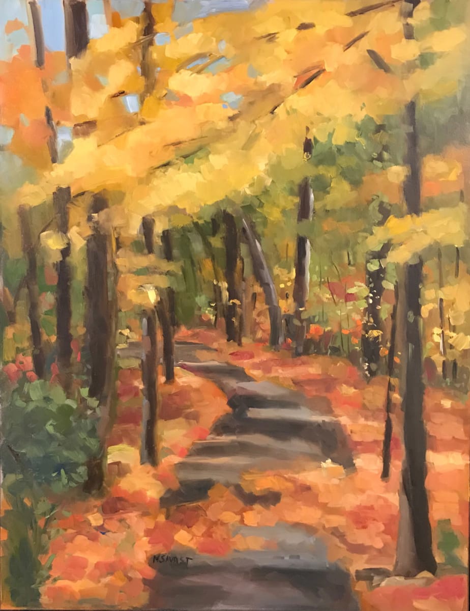 The Walk Beyond by Michelle Savas Thompson 