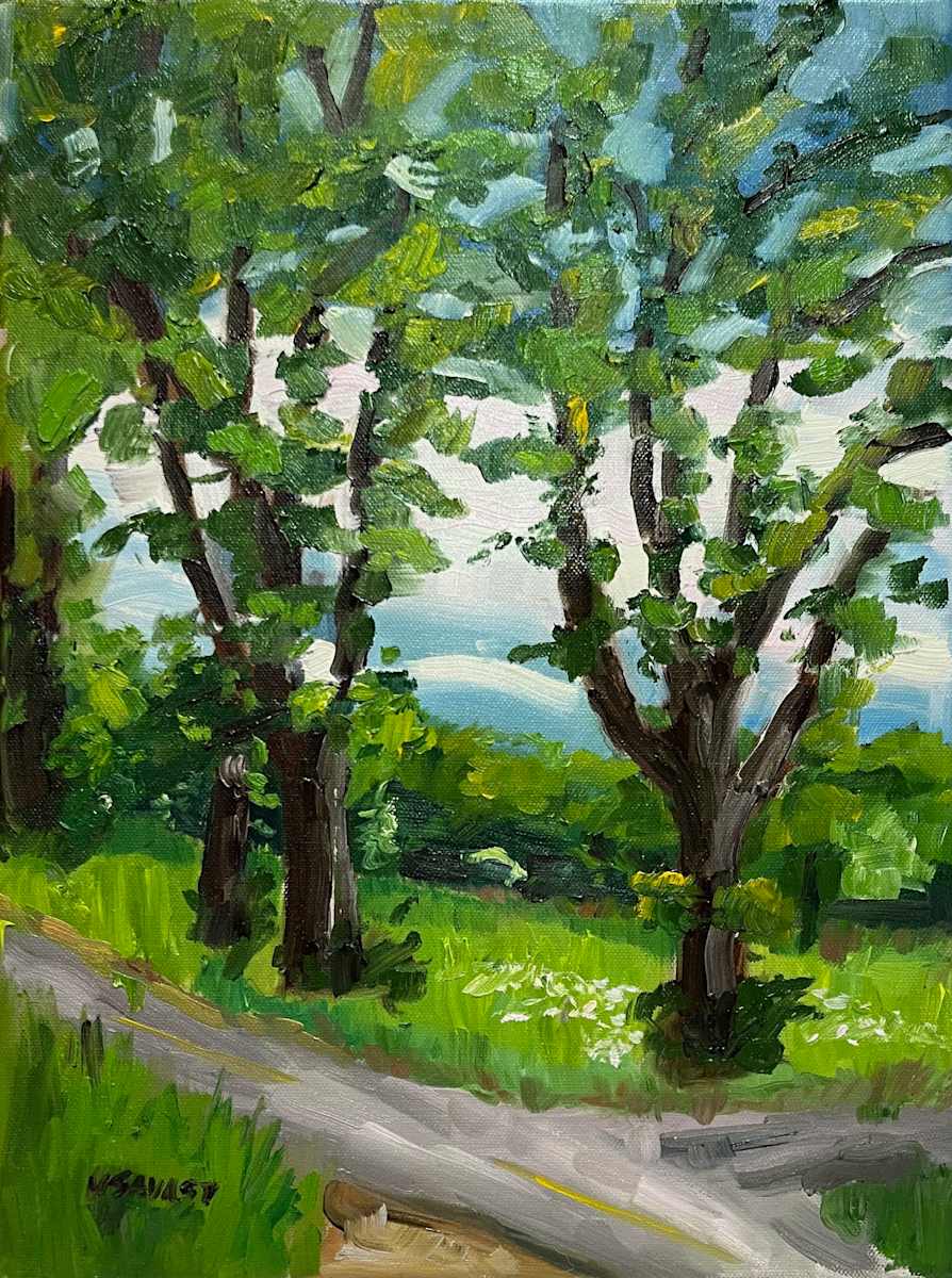 View from Krohn Park by Michelle Savas Thompson 