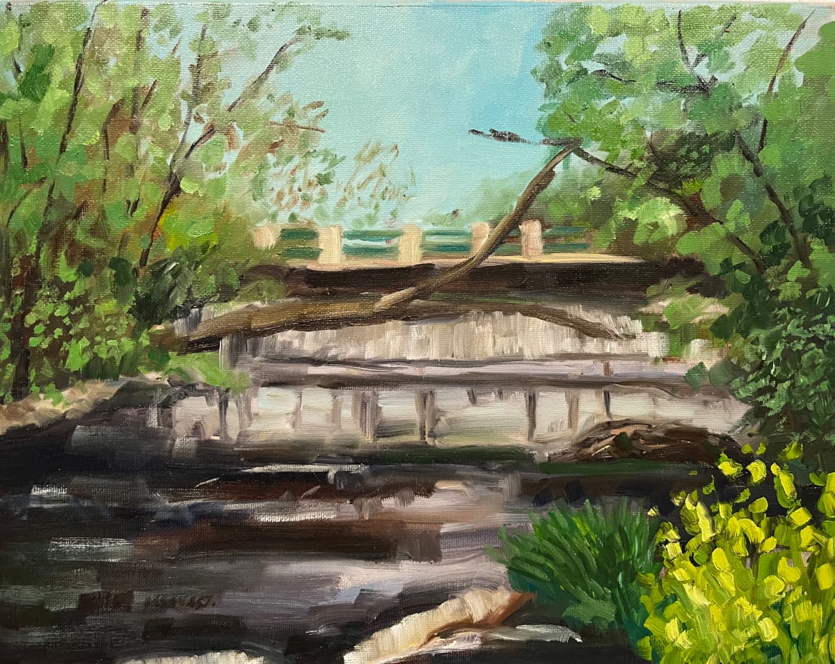 Cedar Creek Park in Jun by Michelle Savas Thompson 