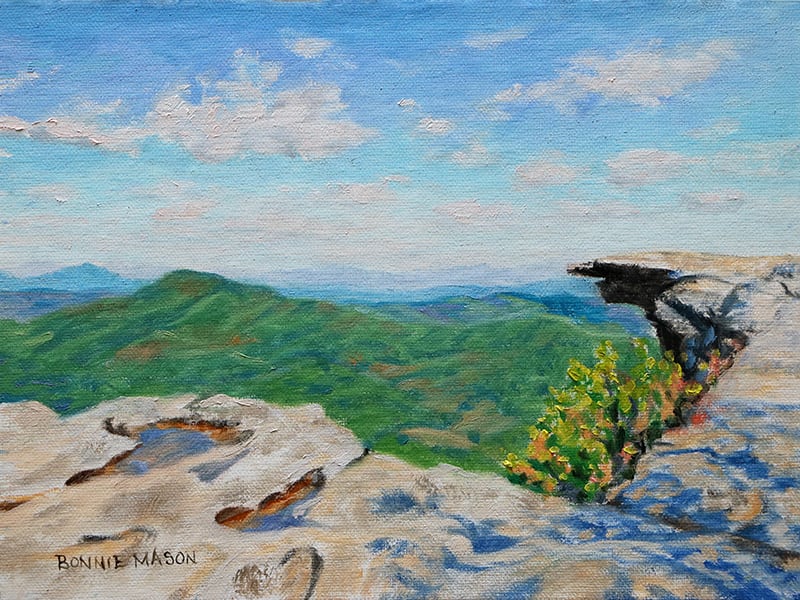McAfee Knob, Spring 