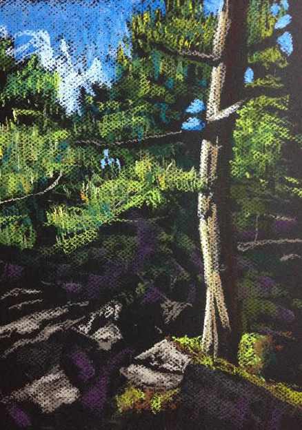 Sunlit Pine by Brenna O'Toole, Image 1.