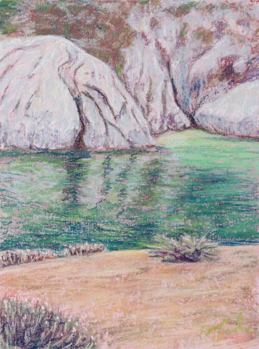 Green Reflections at Point Lobos by Brenna O'Toole, Image 1.