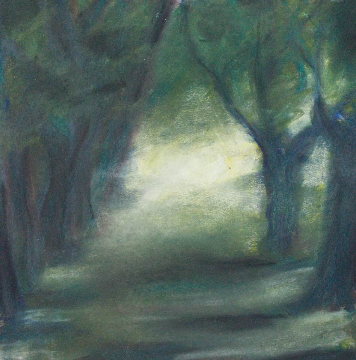 Path of Trees by Brenna O'Toole, Image 1.