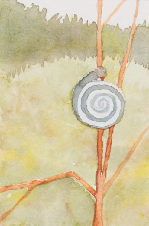 Snail by Brenna O'Toole, Image 1.