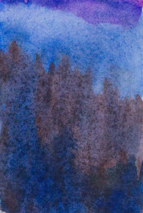 Dark Trees by Brenna O'Toole, Image 1.