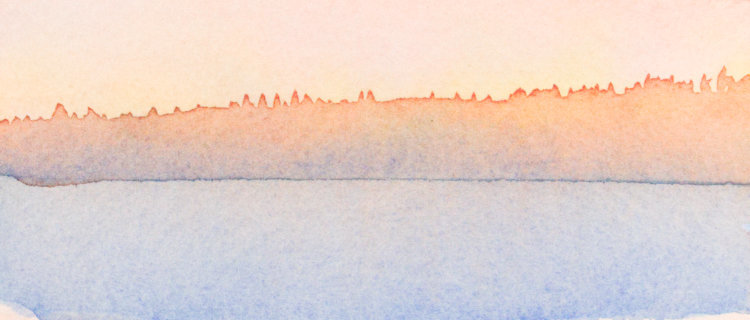 Trees Aglow by Brenna O'Toole 
