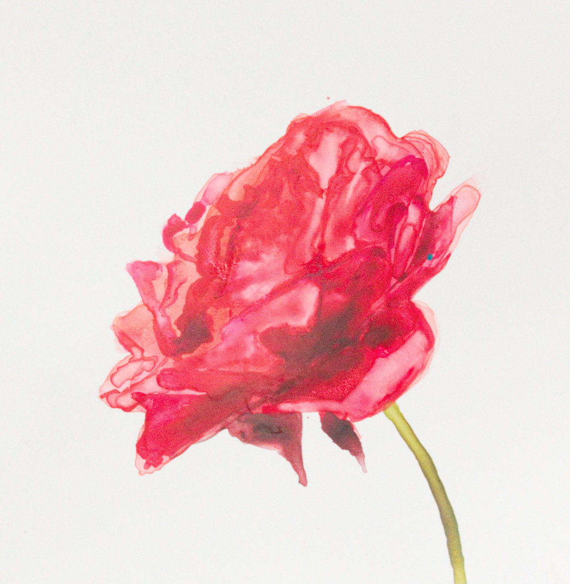 Rose I by Brenna O'Toole 