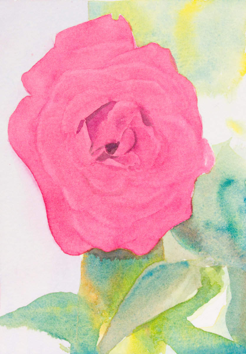 Rose II by Brenna O'Toole, Image 1.
