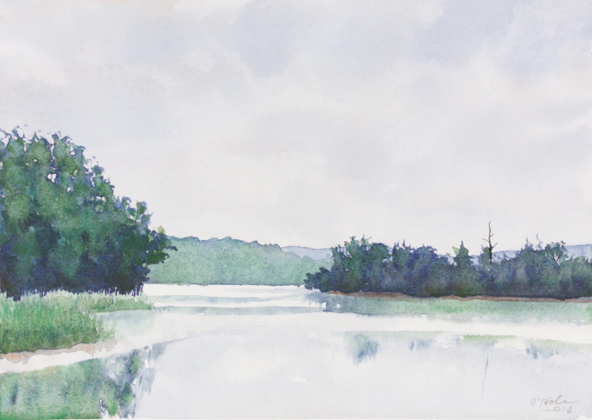 Cloudy Marsh by Brenna O'Toole 