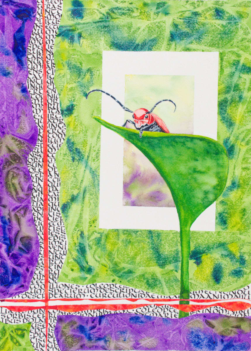 Beetle by Brenna O'Toole, Image 1.