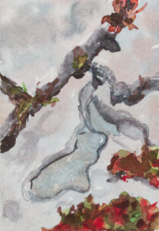 Burren II by Brenna O'Toole 