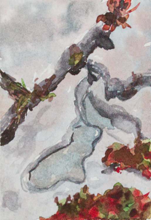 Burren II by Brenna O'Toole, Image 1.