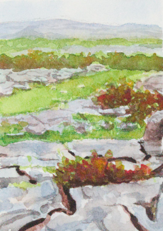 Burren III by Brenna O'Toole 