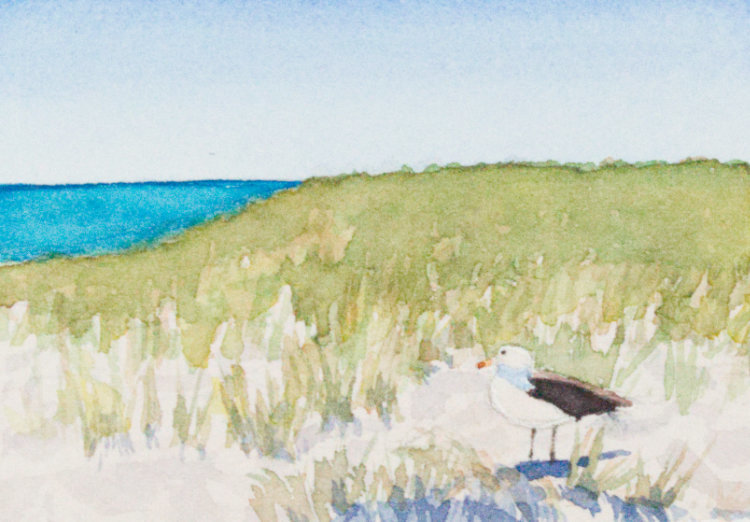 Gull on a Dune by Brenna O'Toole 