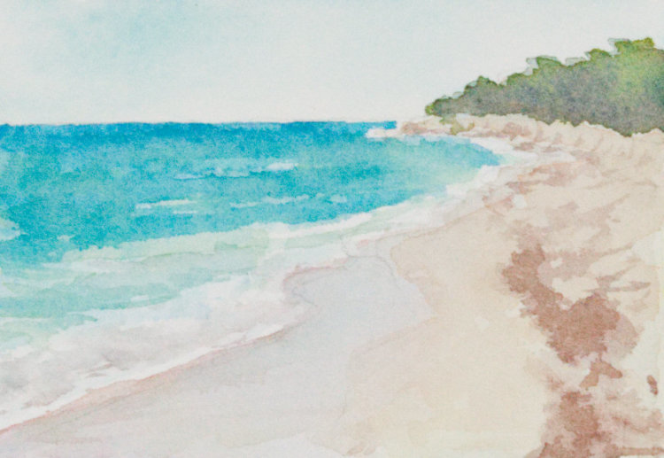 Cape Cod by Brenna O'Toole 