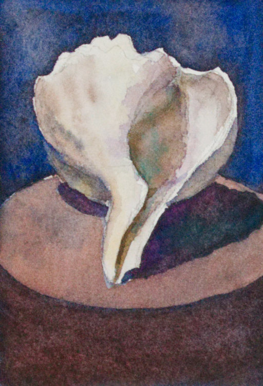 Seashell by Brenna O'Toole 