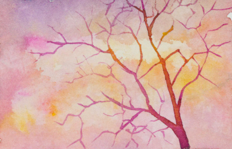 Tree at Sunset by Brenna O'Toole 