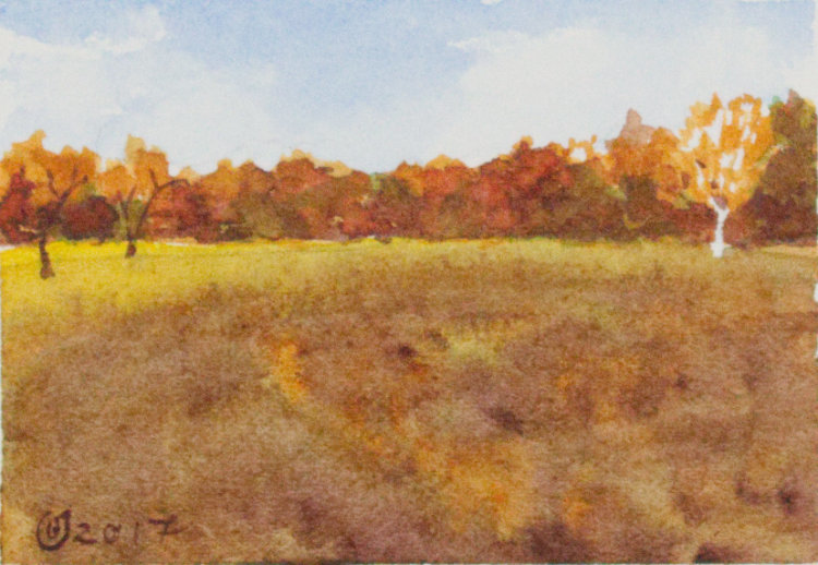 Field No. 3 by Brenna O'Toole 