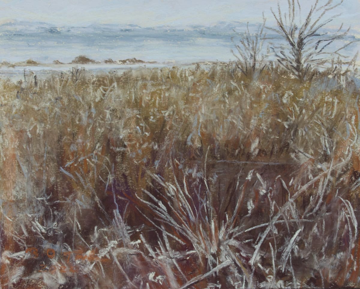 Frosted Marsh by Brenna O'Toole 