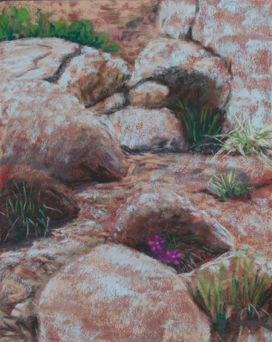Flowers in the Rocks by Brenna O'Toole 