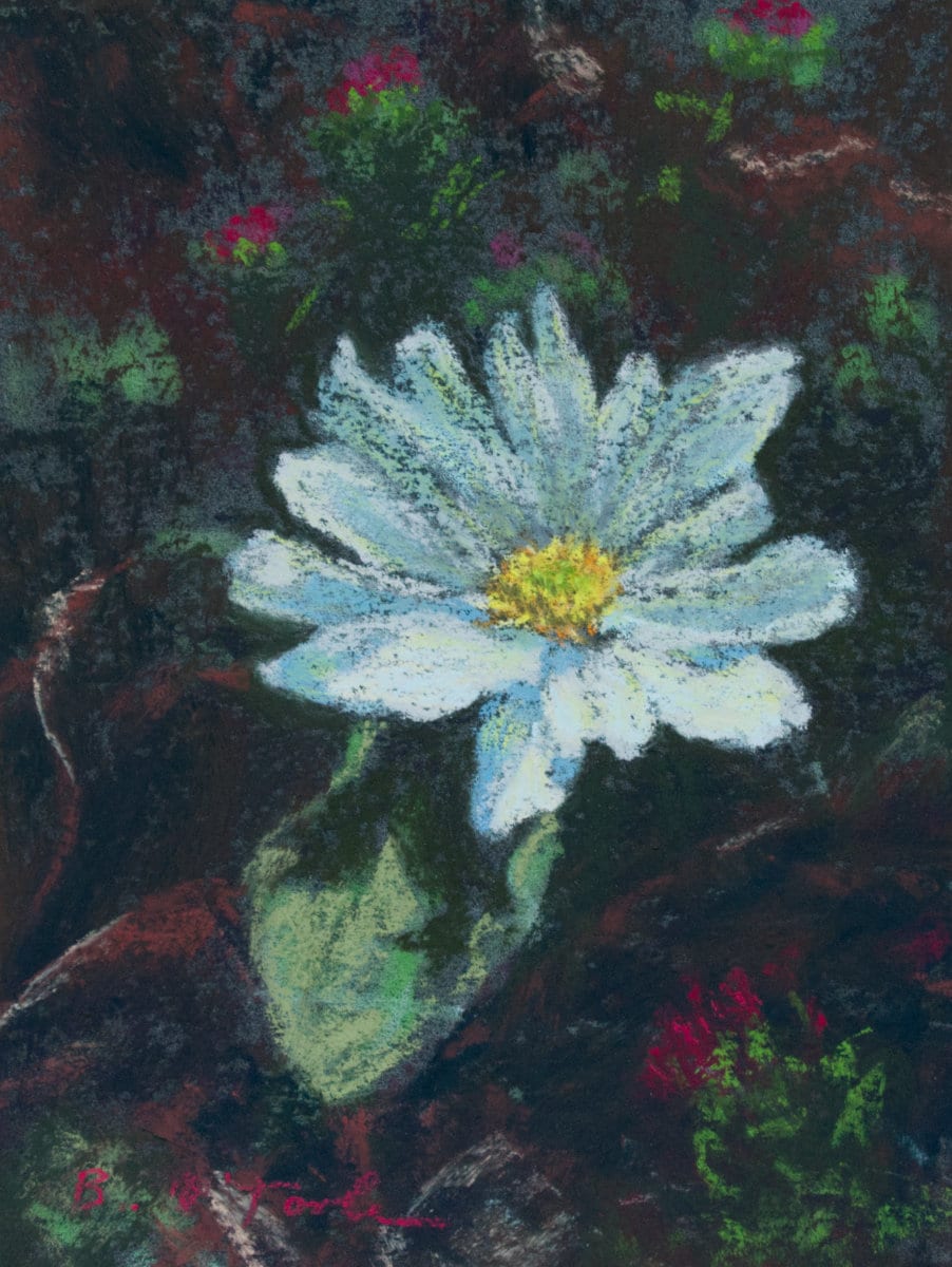 Tundra Flower by Brenna O'Toole 