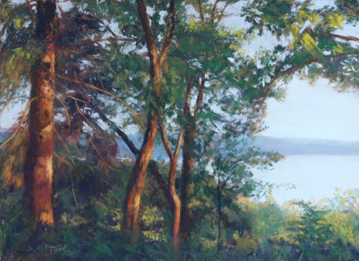 Evening Light 1 by Brenna O'Toole, Image 1.