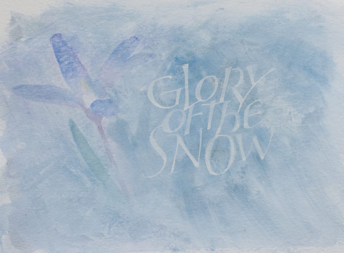 Glory of the Snow by Brenna O'Toole 